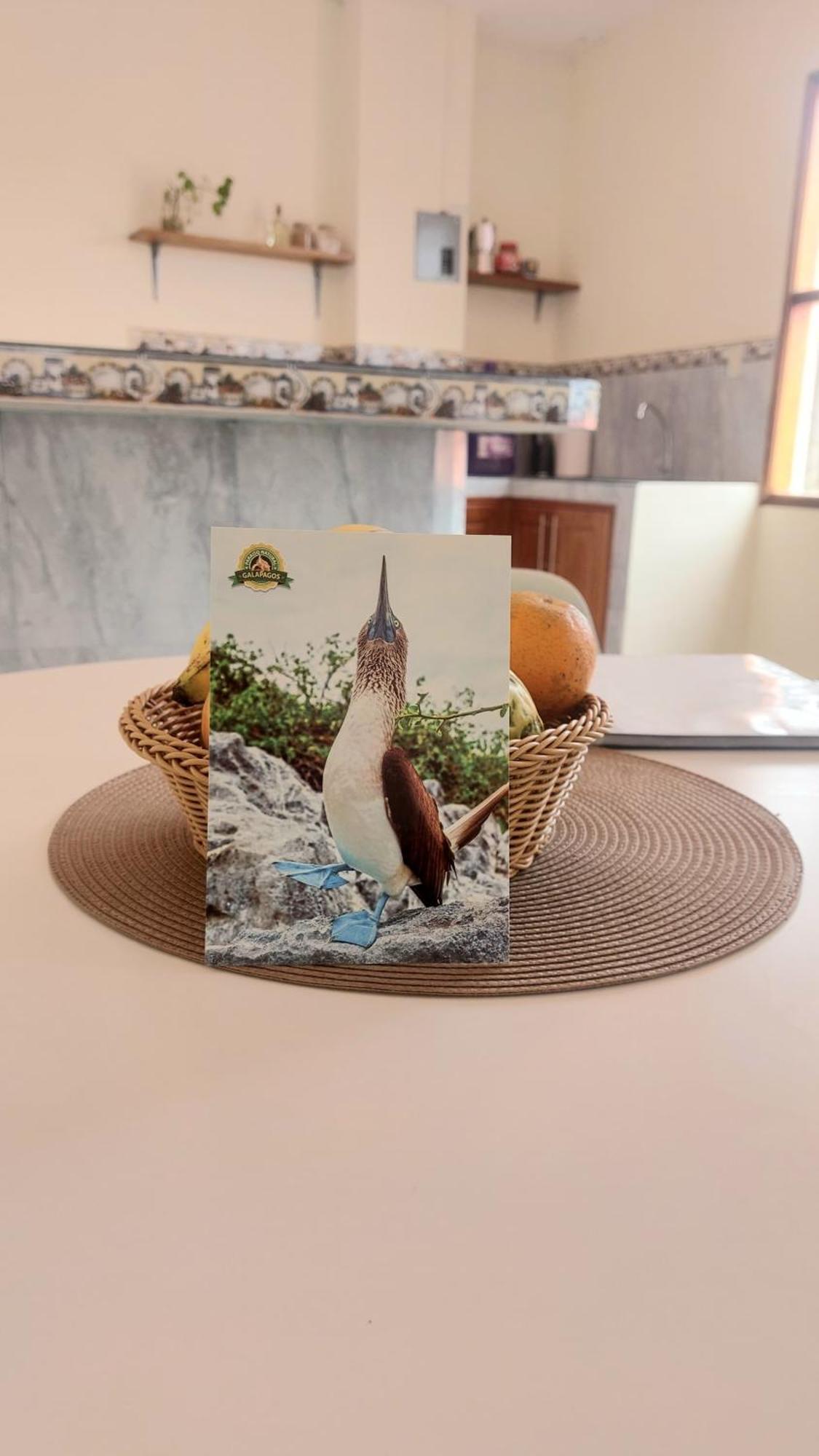 Casa Playa Los Marinos Puerto Baquerizo Moreno Ngoại thất bức ảnh